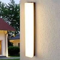 Didelio intensyvumo Cahita LED lauko sieninis šviestuvas