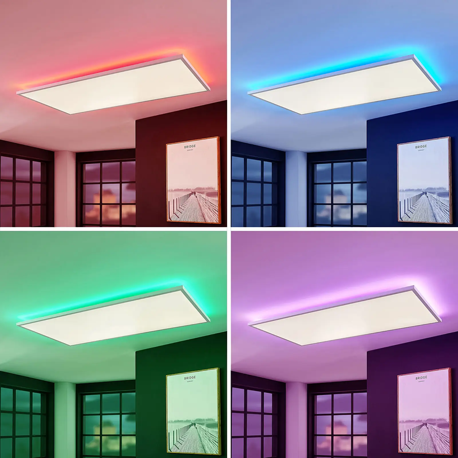 LED skydelis Brenda CCT nuotolinio valdymo pultas 59,5 x 119,5 cm