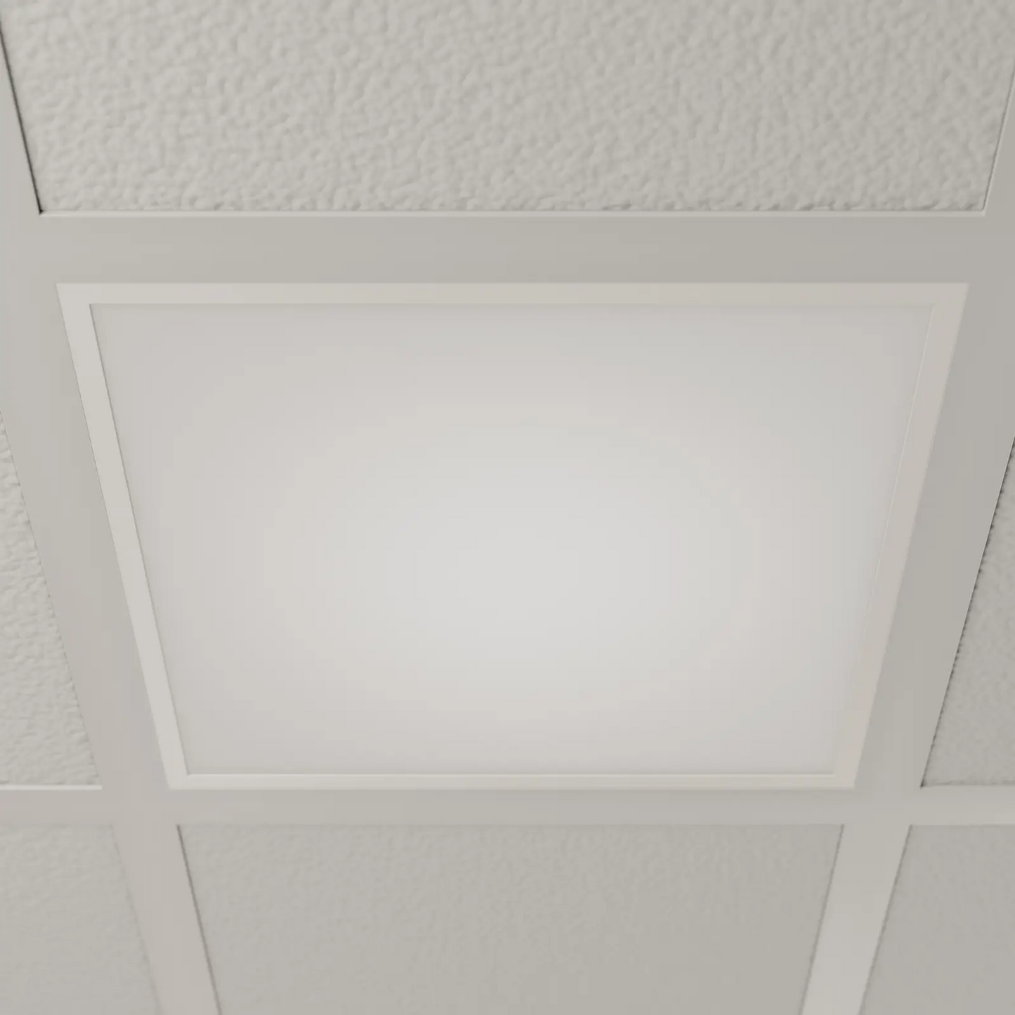 Šviesus LED skydelis Vinas, 62 cm