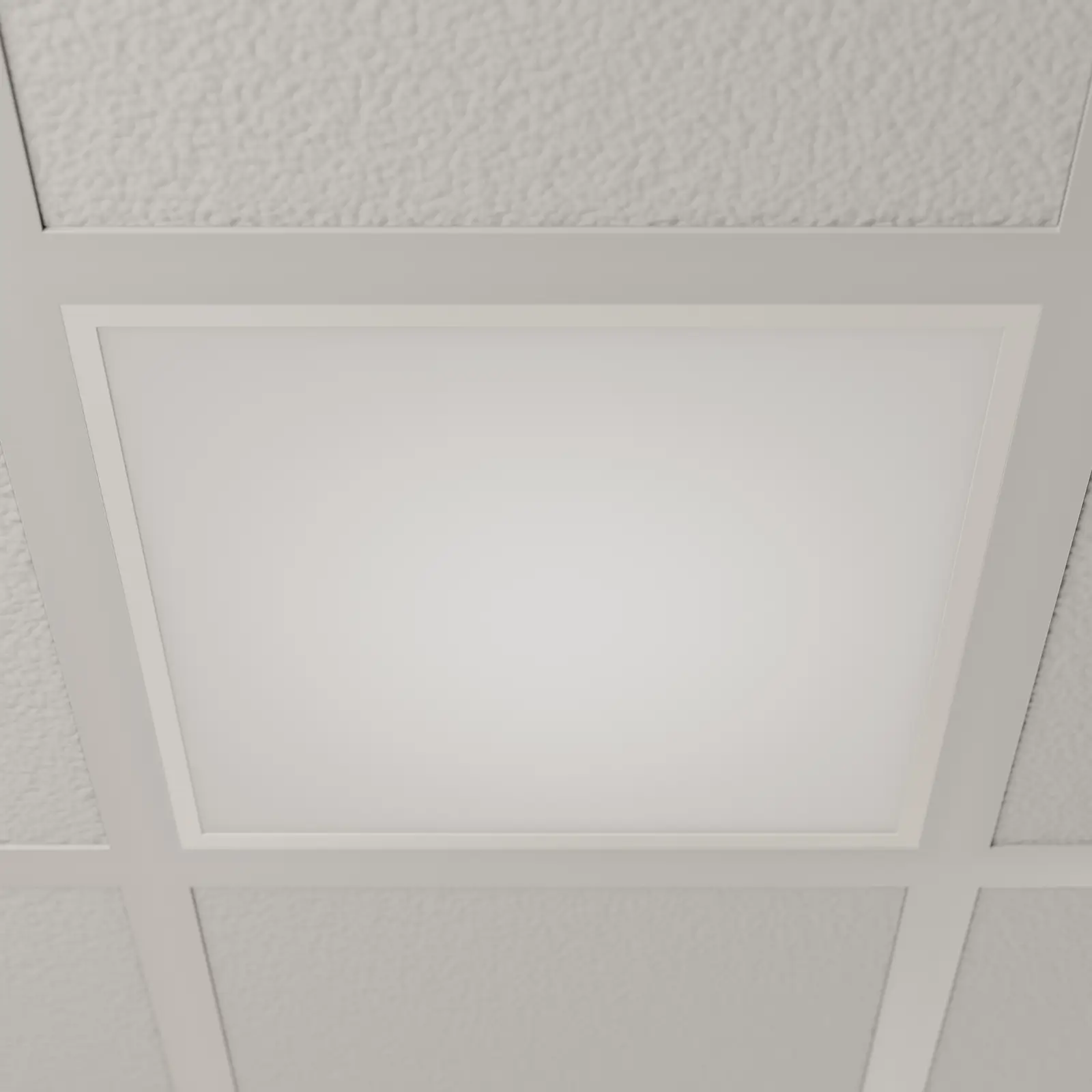 Šviesus LED skydelis Vinas, 62 cm