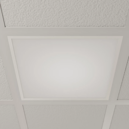 Šviesus LED skydelis Vinas, 62 cm