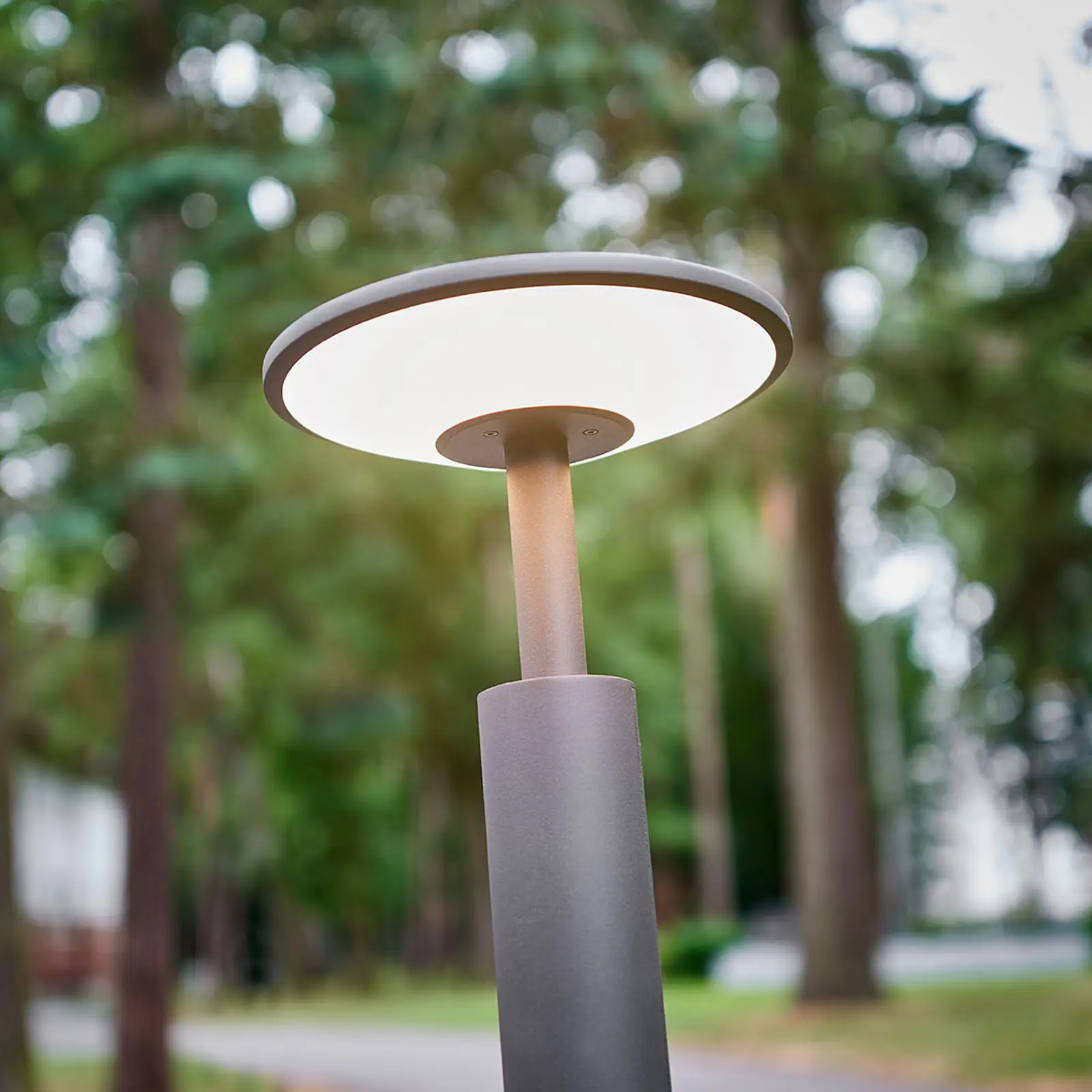 100 cm aukščio - Fenia LED kelio šviestuvas