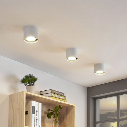LED lubų prožektorius Mabel, apvalus, baltas