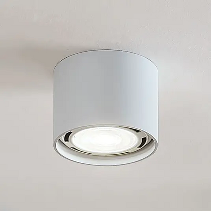 LED lubų prožektorius Mabel, apvalus, baltas