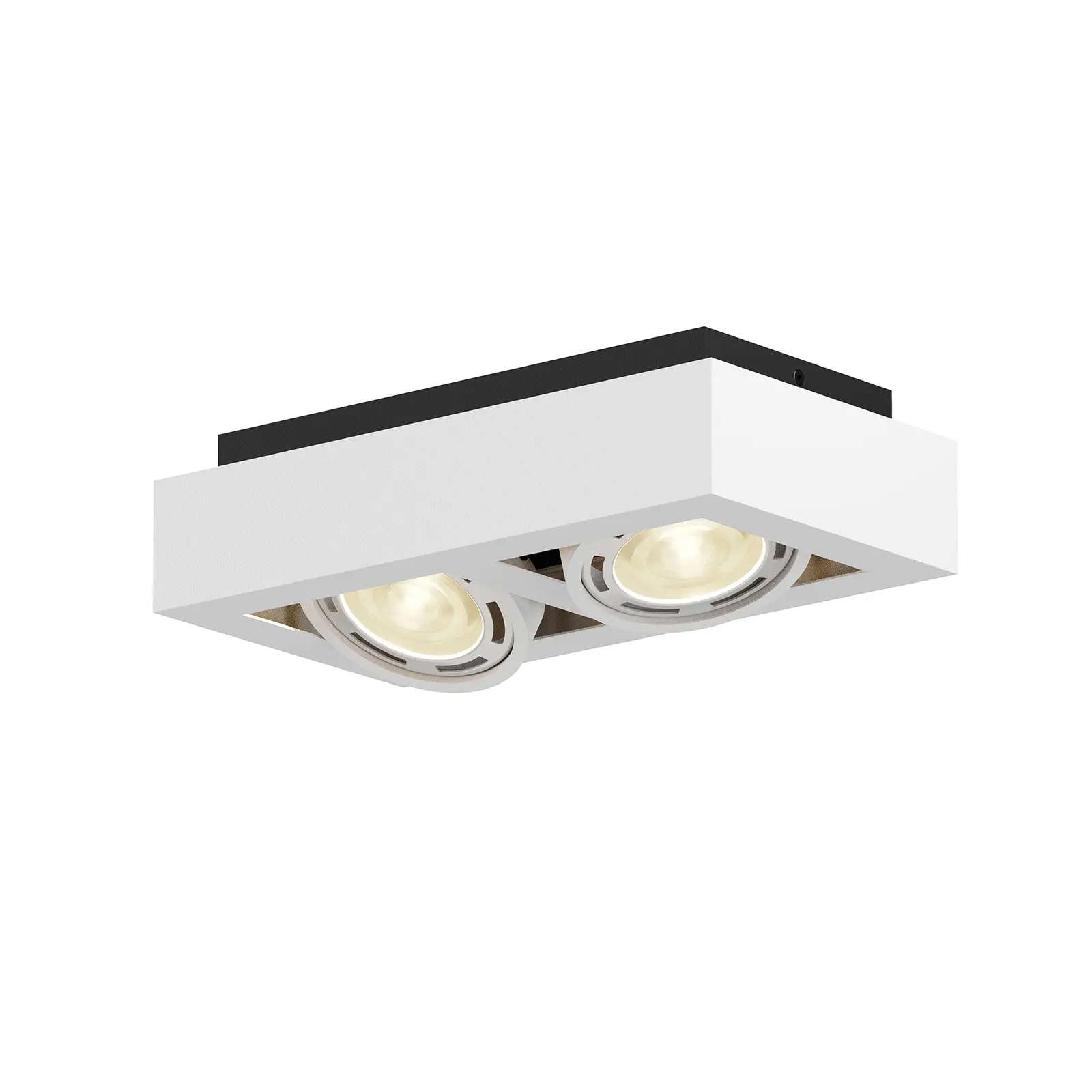 Ronka LED lubinis prožektorius, GU10, 2 lempučių, baltas