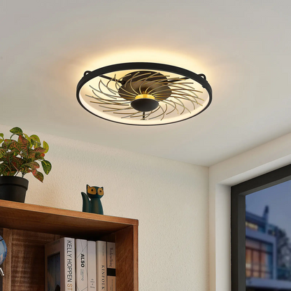 Lindby Fynnian LED lubų lempa